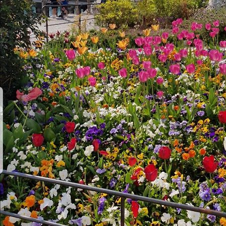 Appartamento Rosy Peschiera del Garda Zewnętrze zdjęcie