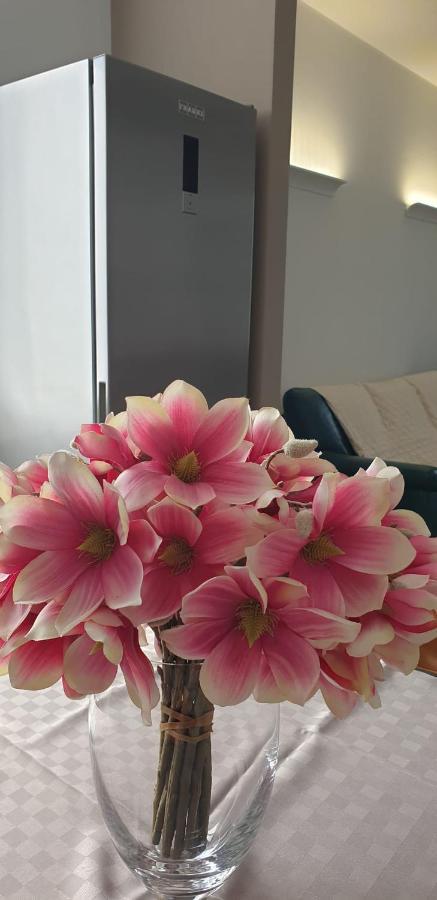 Appartamento Rosy Peschiera del Garda Zewnętrze zdjęcie